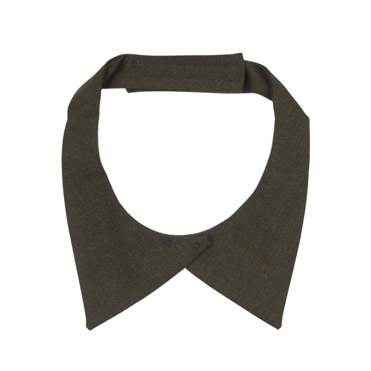 Marine Corps: Female Green Neck Tab