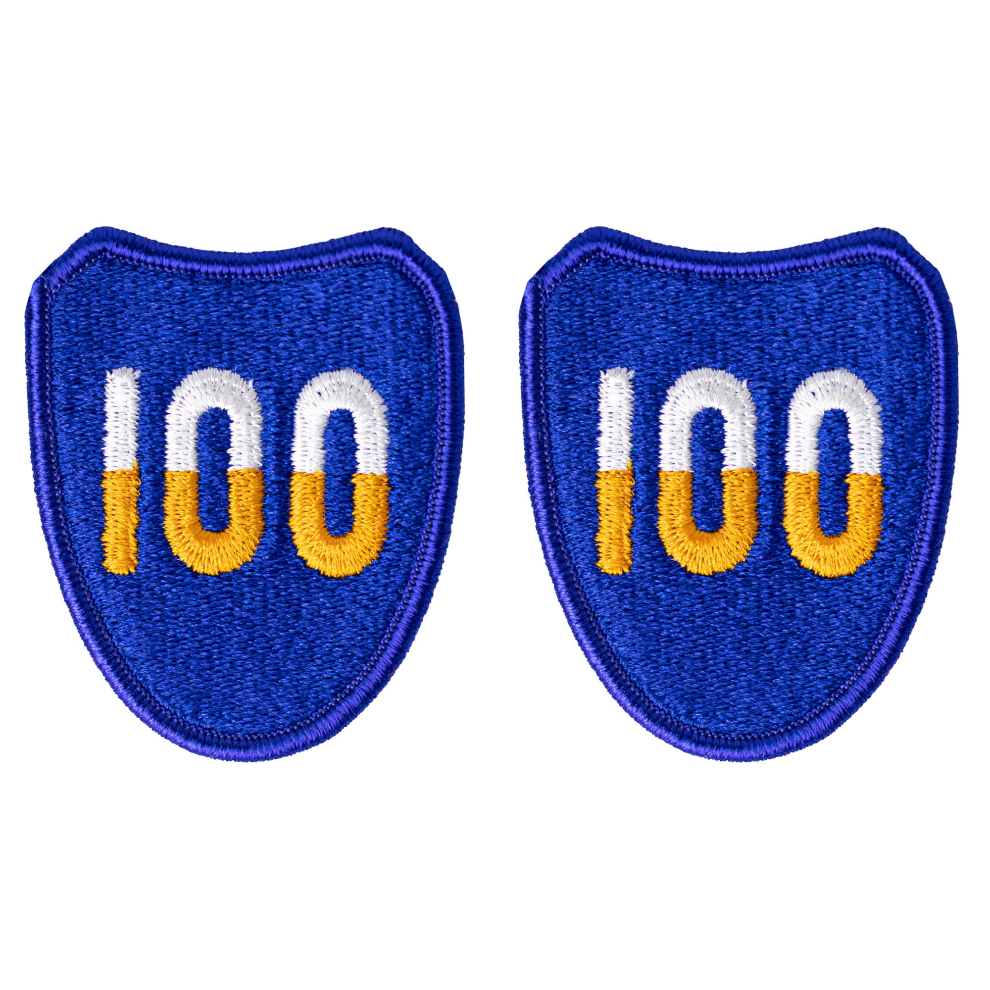 Army Patch: 100th Training Division - color