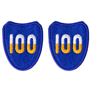 Army Patch: 100th Training Division - color
