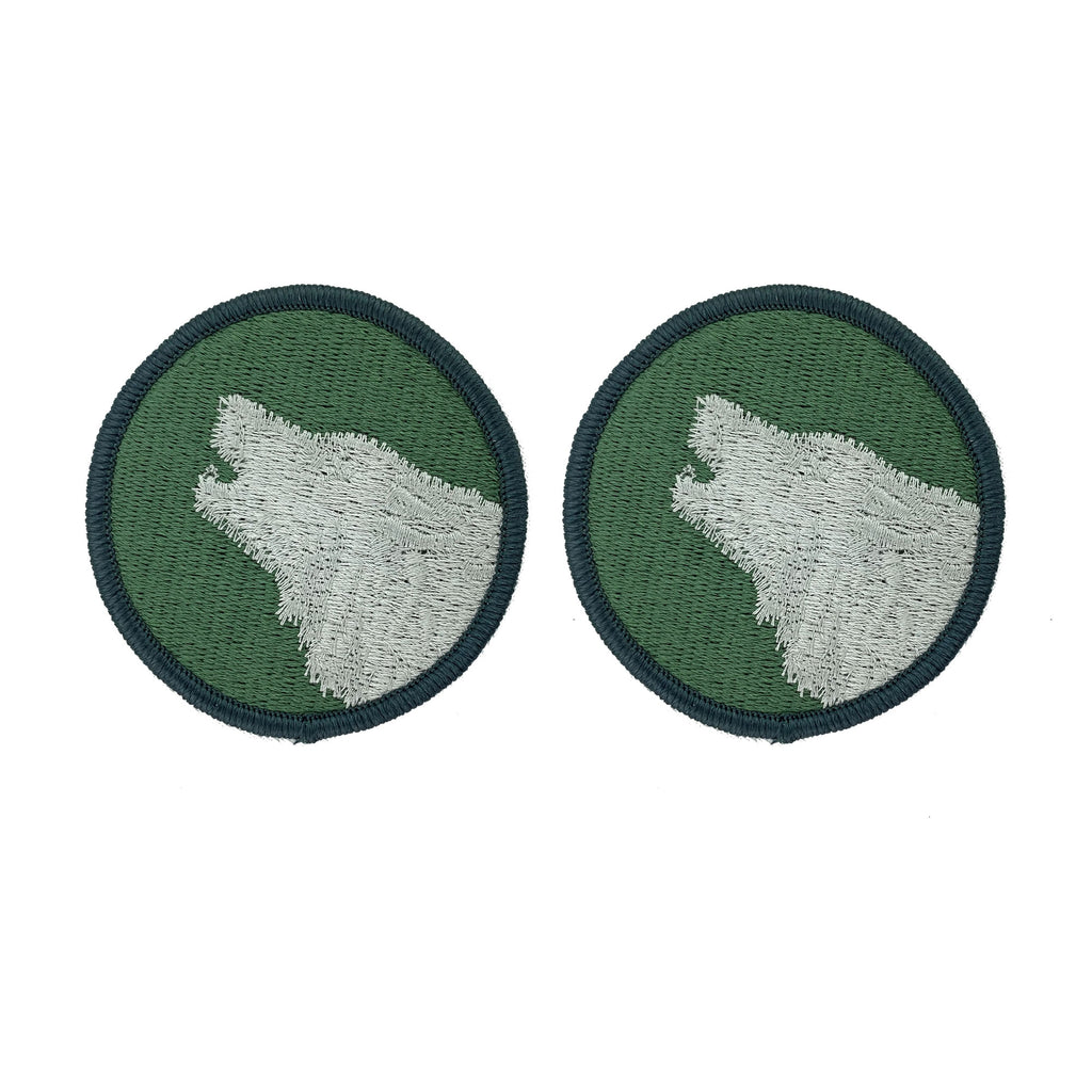 Army Patch: 104th Training Division - color