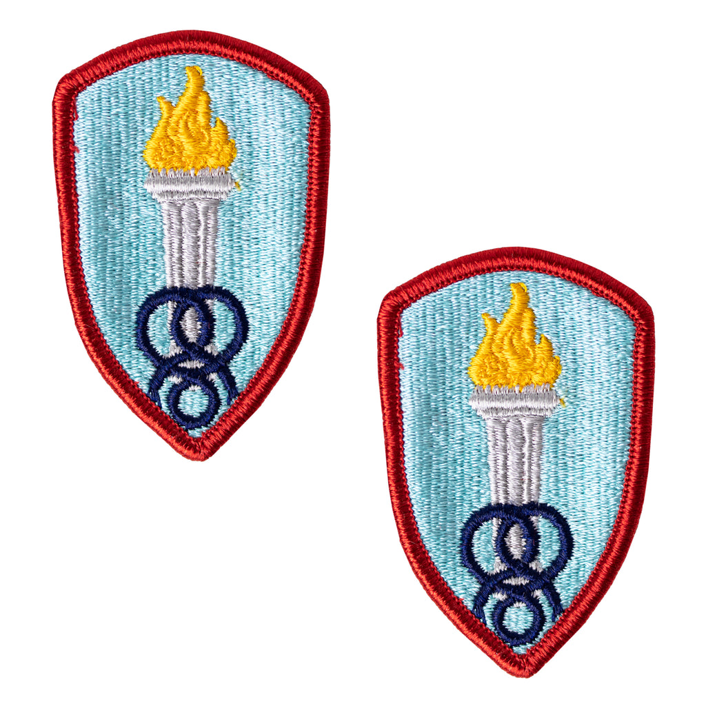 Army Patch: Soldier Support Institute - color