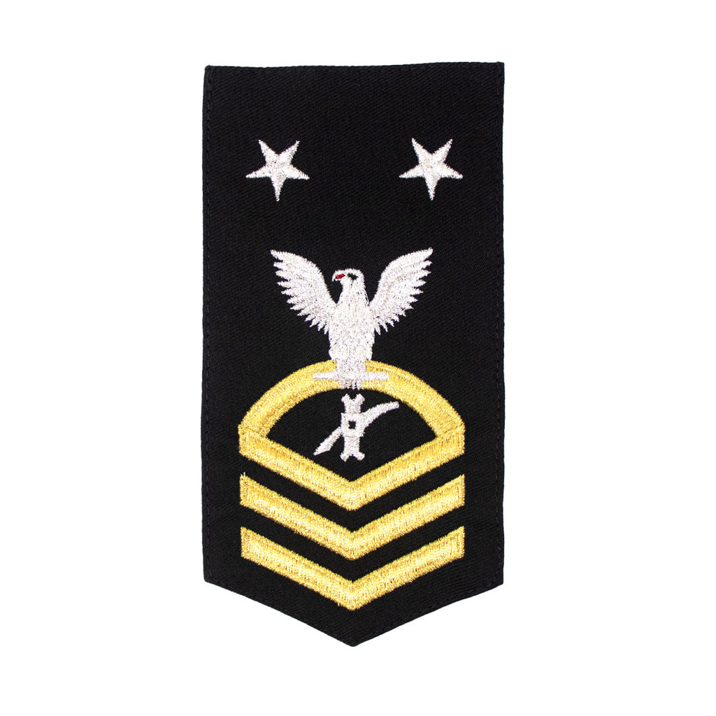 Navy E9 FEMALE Rating Badge: LN Legalman  - seaworthy gold on blue