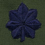 Air Force Embroidered Rank: Lieutenant Colonel - subdued fatigue (NON-REFUNDABLE)