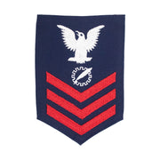 Coast Guard E6 Rating Badge: DATA PROCESSING TECHNICIAN - Blue