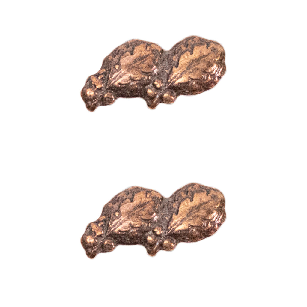 Ribbon Attachments: Two Oak Leaf Clusters Mounted on a Bar - bronze