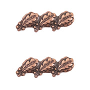 Ribbon Attachments: Three Oak Leaf Clusters Mounted on a Bar - bronze
