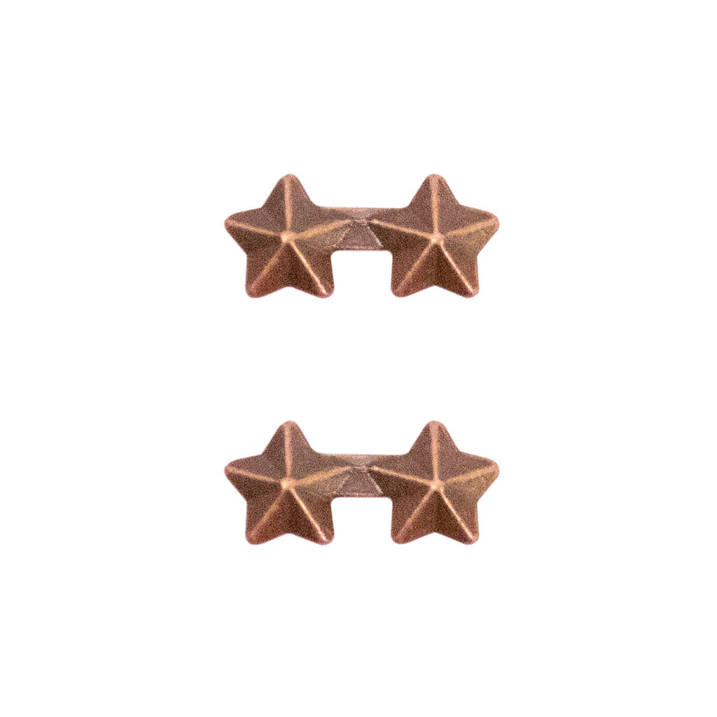 Ribbon Attachments: Two Stars Mounted on a Bar - bronze