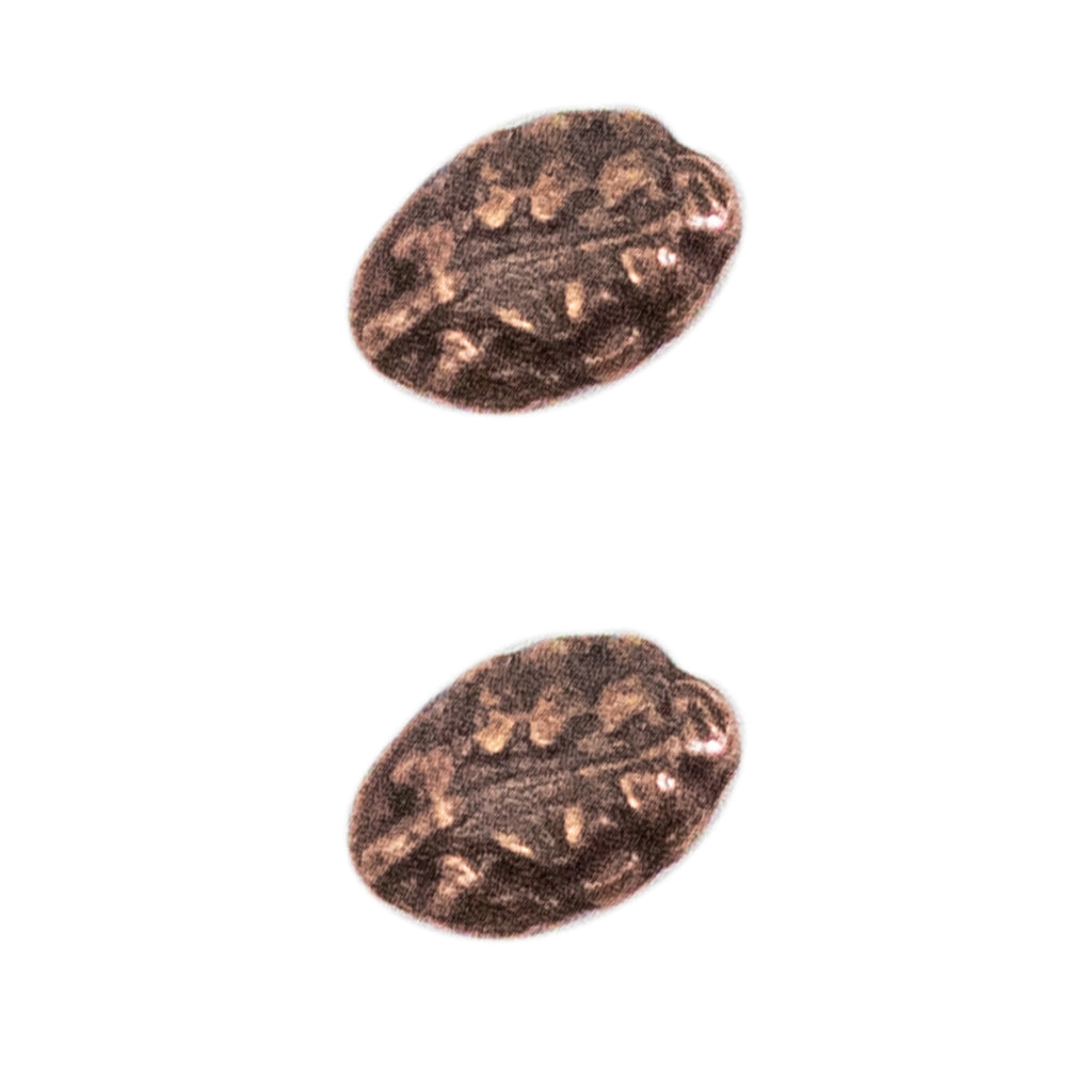 Miniature Medal Attachment: Oak Leaf Cluster - bronze