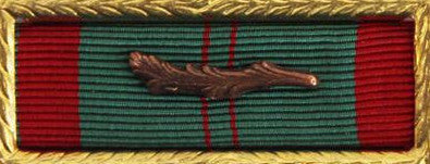 Ribbon Unit: Vietnam Civil Action First Class with palm and small frame.  Palm attachment included but not mounted.