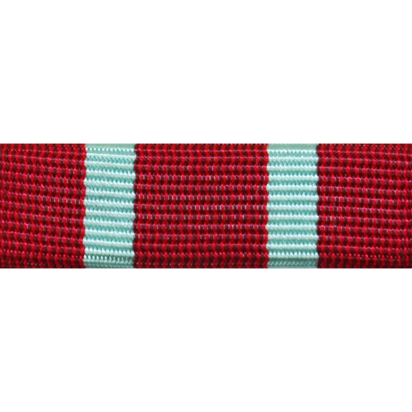 Ribbon Unit #3719
