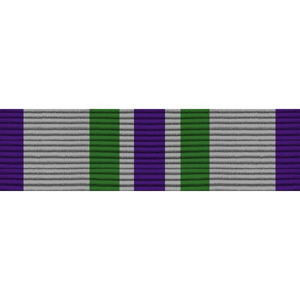 Army ROTC Ribbon Unit: N-1-1: AJROTC Distinguished Cadet