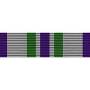 Army ROTC Ribbon Unit: N-1-1: AJROTC Distinguished Cadet