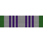 Army ROTC Ribbon Unit: N-1-10