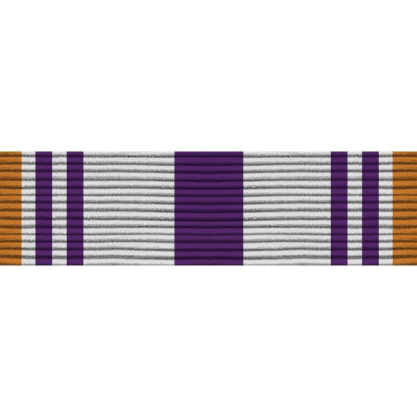 Army ROTC Ribbon Unit: N-4-5: AJROTC Public Achievement