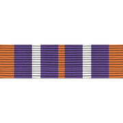 Army ROTC Ribbon Unit: N-4-6: AJROTC Service Learning