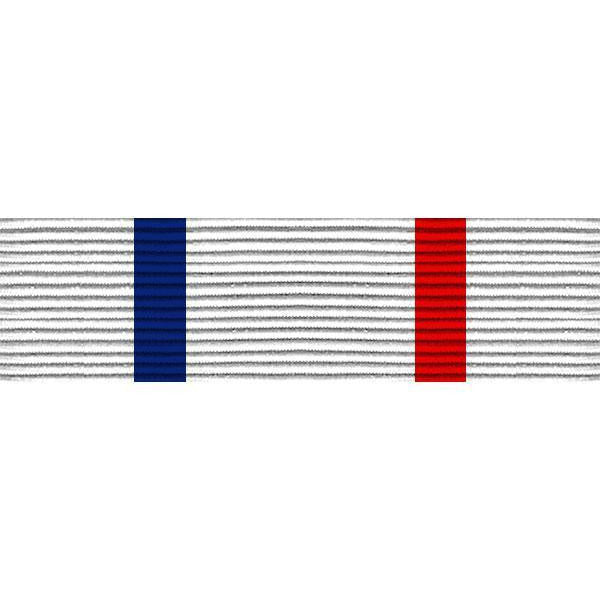 Navy ROTC Ribbon Unit: NJROTC Color Guard