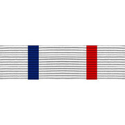 Navy ROTC Ribbon Unit: NJROTC Color Guard