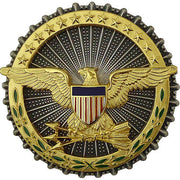 Army Identification Badge: Secretary of Defense - oxidized