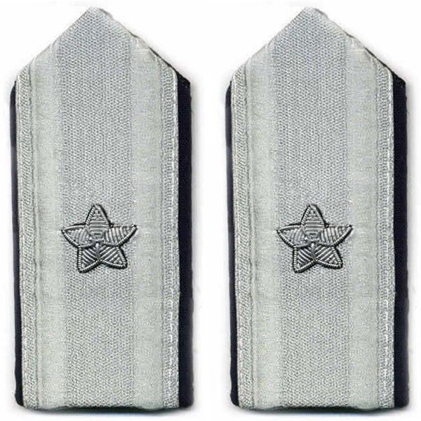 Air Force Mess Dress Shoulder Board: Brigadier General - female
