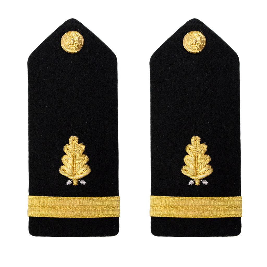 Navy Shoulder Board: Ensign Dental Corps - male