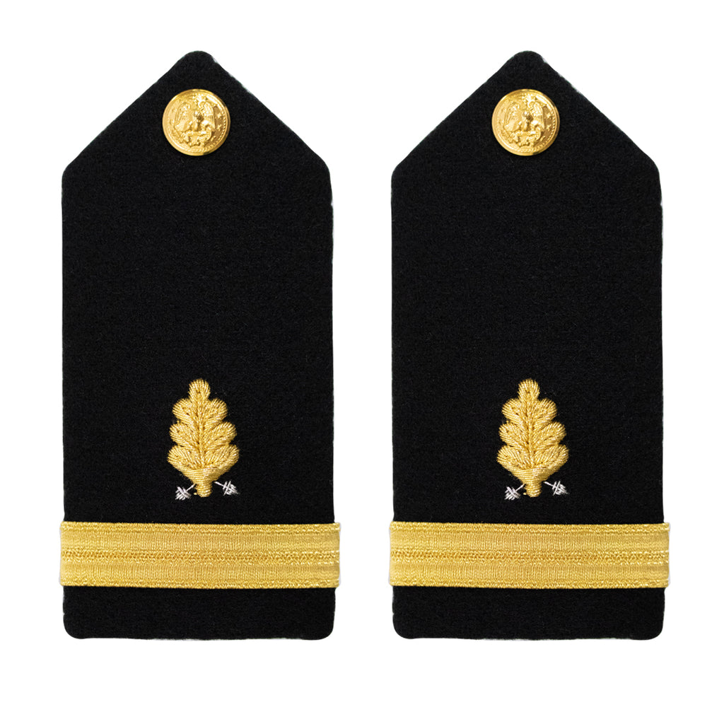 Navy Shoulder Board: Ensign Dental Corps - female