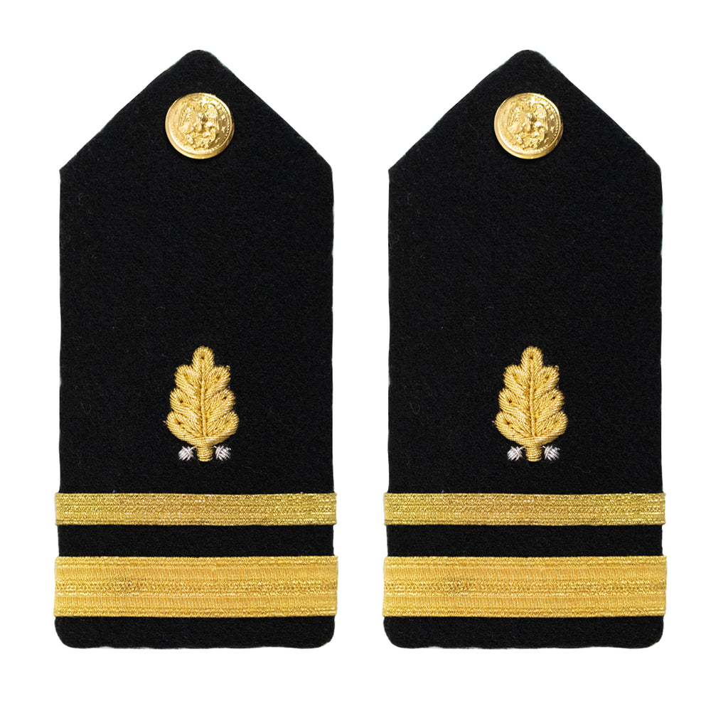 Navy Shoulder Board: Lieutenant Junior Grade Dental Corps - female