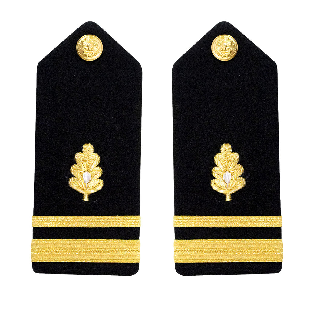 Navy Shoulder Board: Lieutenant Junior Grade Medical Corps - male