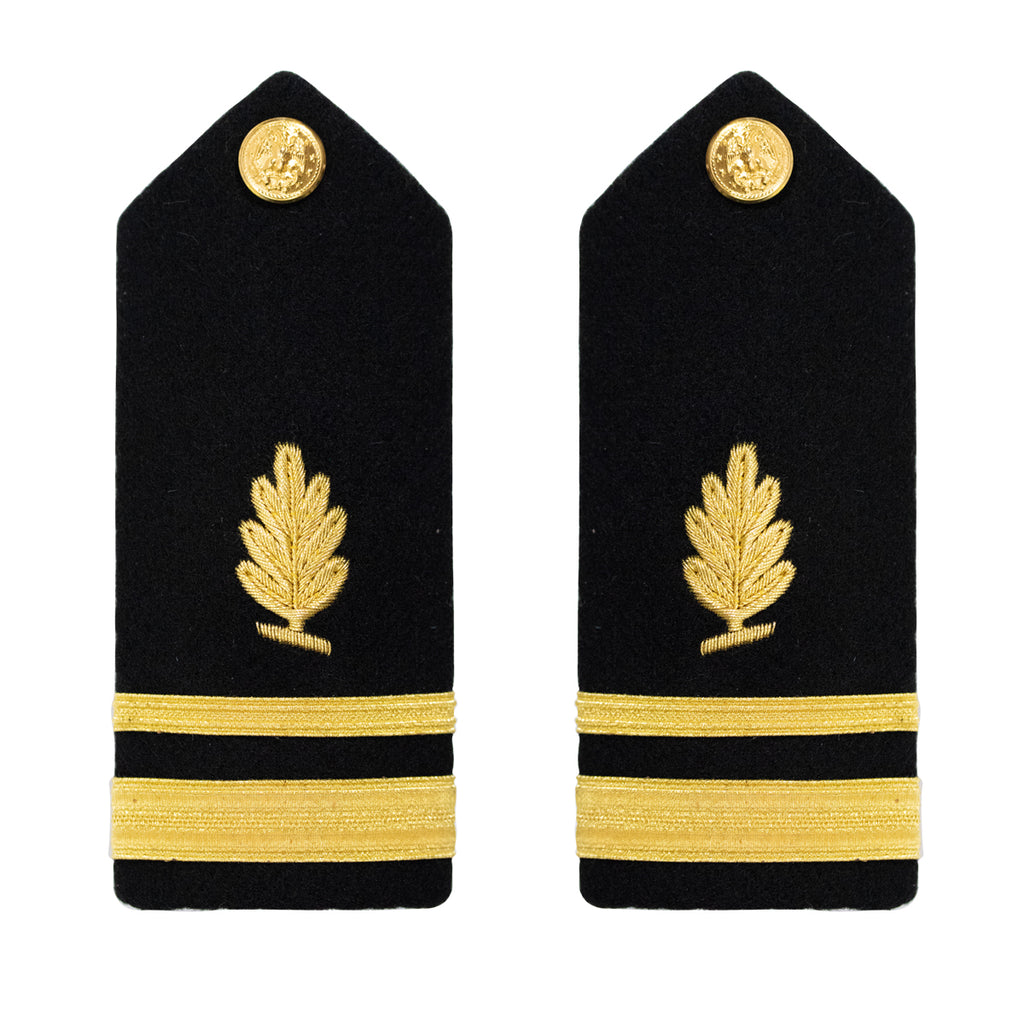 Navy Shoulder Board: Lieutenant Junior Grade Medical Service - male