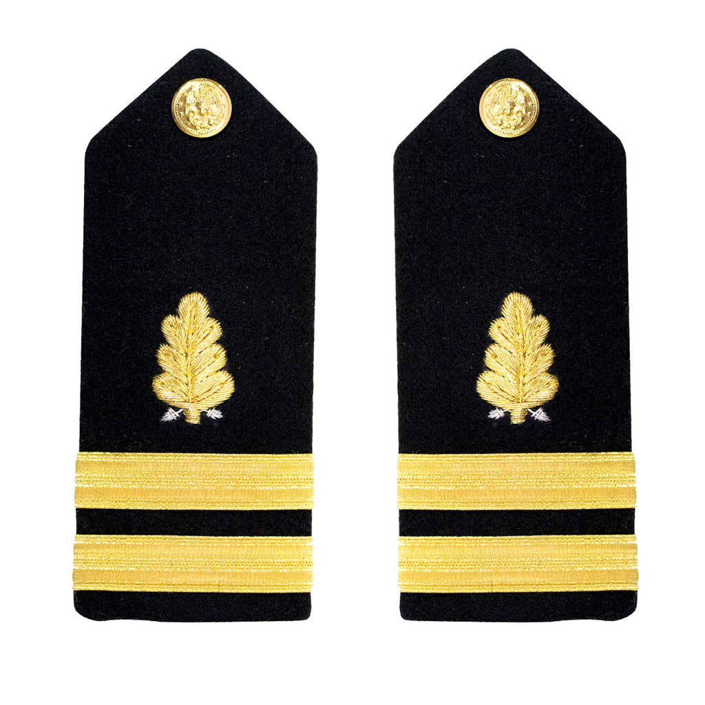 Navy Shoulder Board: Lieutenant Dental Corps - male