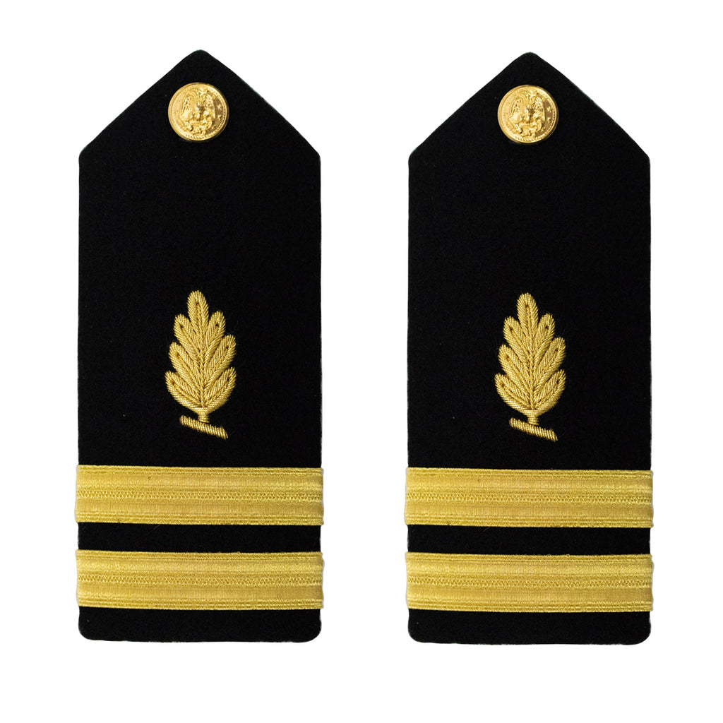 Navy Shoulder Board: Lieutenant Medical Service - male