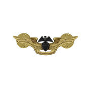 Navy Badge: Professional Aviation Maintenance Officer - miniature