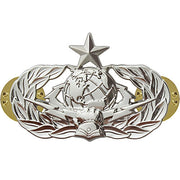 Air Force Badge: Cyberspace Support: Senior - midsize