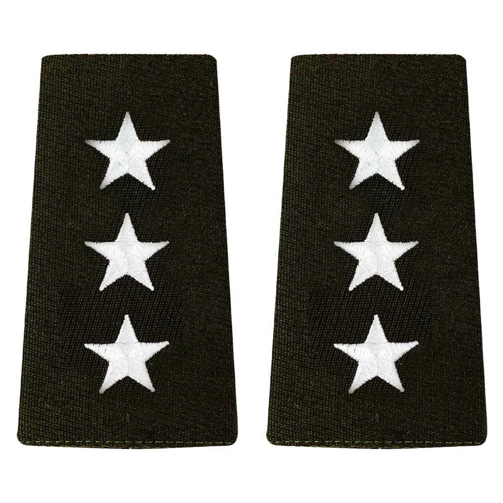 Army AGSU Leather Service Jacket (Bomber) Epaulet: Lieutenant General