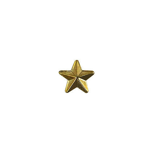 Army Identification Badge: Gold Star for Recruiter - Hard Corps metal finish