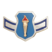 Air Force JROTC Chevron: Airman
