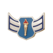 Air Force JROTC Chevron: Airman First Class