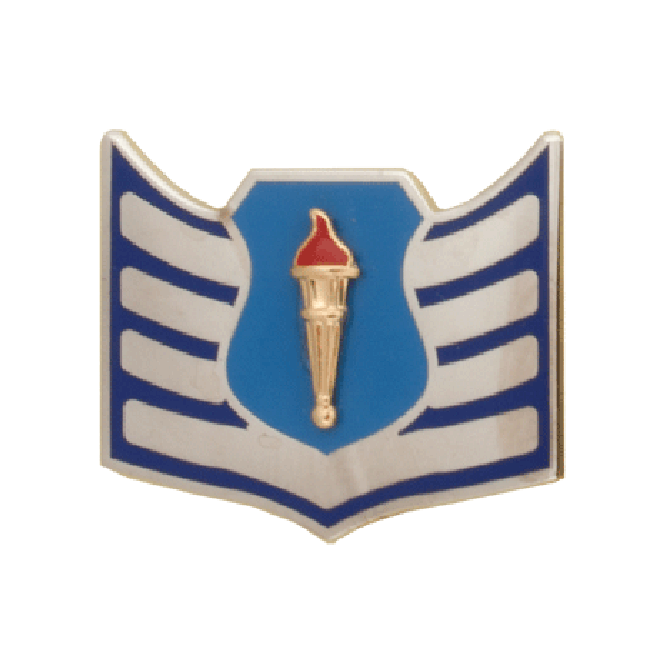 Air Force JROTC Chevron: Staff Sergeant