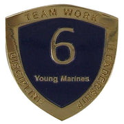 Young Marine's: Adult Volunteers  Service Pin, 6 Years of Service