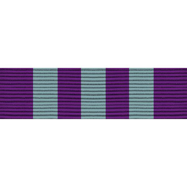 Civil Air Patrol Senior and Cadet Special Activities Ribbon