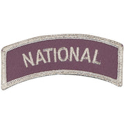 Civil Air Patrol Arch Patch: National - grey