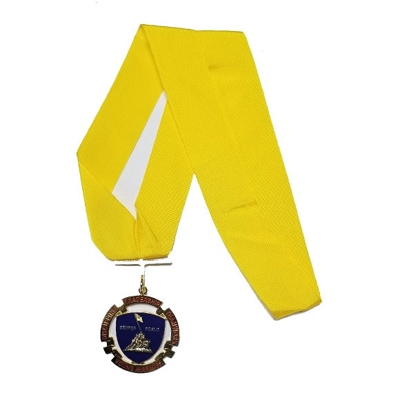 Medal Gold Young Marines w/Neck Drape 3016 (Unit Only)