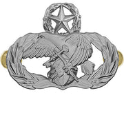 Air Force Badge: Logistics Readiness: Master - regulation size