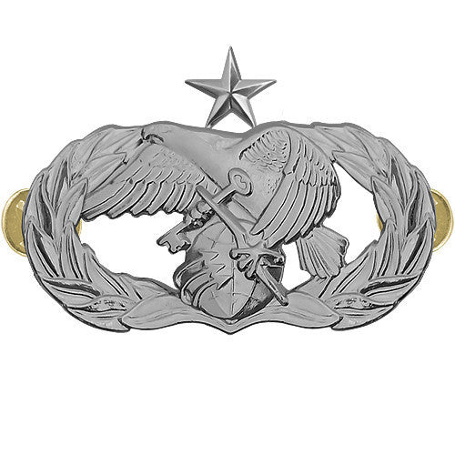 Air Force Badge: Logistics Readiness: Senior - midsize