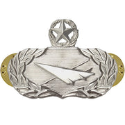 Air Force Badge: Historian: Master - midsize