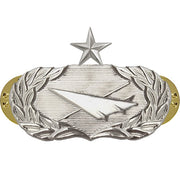 Air Force Badge: Historian: Senior - midsize