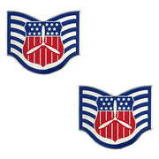 Civil Air Patrol Chevron: Cadet Technical Sergeant