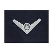 Civil Air Patrol: Cloth Insignia: Pre-solo wings (New Insignia)
