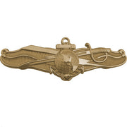 Navy Badge: Officer Information Dominance Warfare - miniature, mirror finish