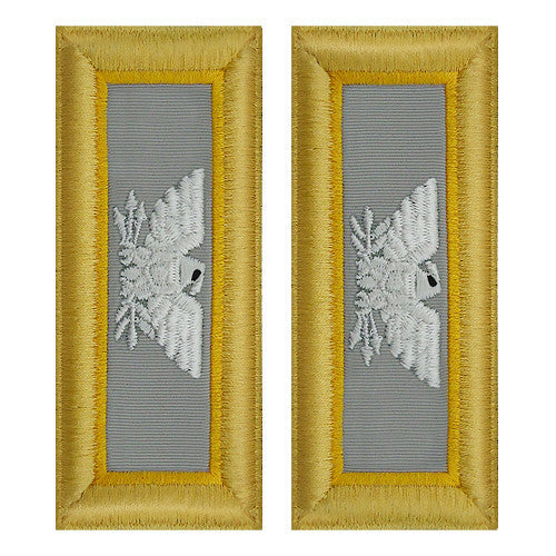 Army Shoulder Strap: Colonel Finance - female